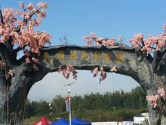 -天适樱花悠乐园