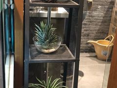 -狐狸家·酸奶酪专门店(平江路店)