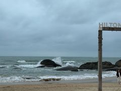 -力哥地道海南菜·联谊文昌鸡老店