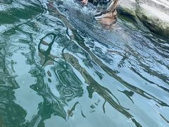 -上海野生动物园