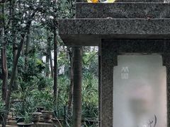 -广州兰圃