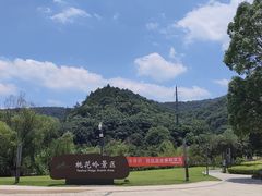 门面-桃花岭景区