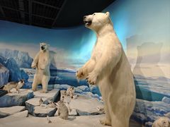 -陕西自然博物馆