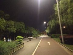 -艾溪湖湿地公园