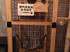 -Y&Y创意真人密室逃脱馆(人民广场步行街店)