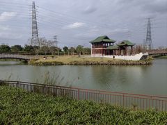 -王借岗森林公园