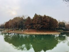 -尚贤河湿地