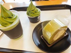 -雪绿茶博物馆