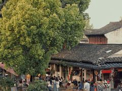 -绍兴鲁迅故里·沈园景区