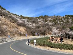 -妙峰山风景名胜区