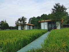 -洪湖家庭农场·团建·露营·会议