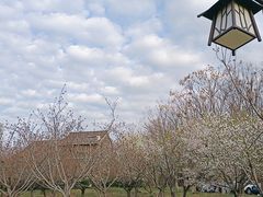 -江苏三台山国家森林公园