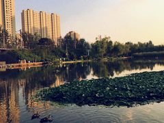 -前关湿地公园