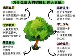 -古力古利托育早教中心(澳门路校区)