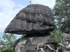-梭布垭石林景区