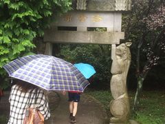 -四明山国家森林公园