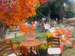 -HERRE·FARM 赫尔露营农场·团建聚会包场