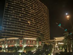 -拉斯维加斯永利酒店