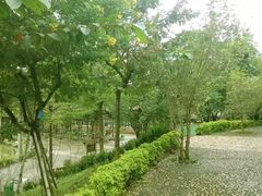 -揭东万竹园旅游景区