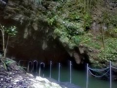 -怀托摩萤火虫洞