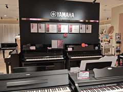 -雅歌音乐培训中心·钢琴培训·乐器培训(交道口店)