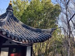 -上海佘山国家森林公园西佘山园