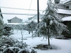 -金山农民画村-枫泾波兰倒置屋
