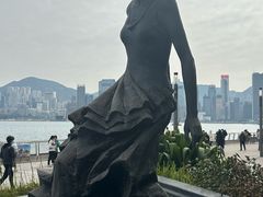 -星光大道