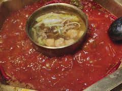 -蜀九香火锅(玉林店)