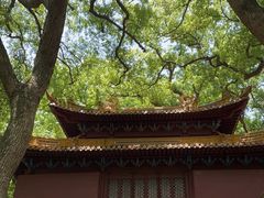 -普陀山风景名胜区-法雨禅寺