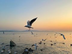 -深圳湾公园(南山区)