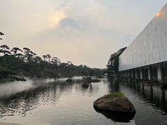 -罗红摄影艺术馆