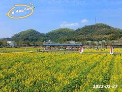 -红山村