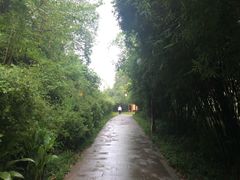 -重庆彩云湖湿地公园
