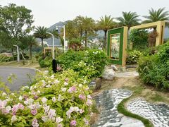 -白石龙音乐公园