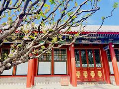 -宫事颐庭·老佛爷贵寿下午茶(颐和园店)