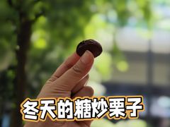 -新长发栗子食品有限公司(威海路店)