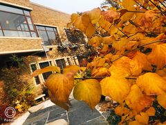 -北京古北水镇御舍温泉酒店