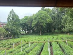 -野蔓果·山野菜(西湖景区·龙井茶田店)