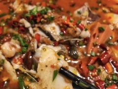 -飞虹鱼馆(春华路店)
