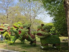 -洛阳市隋唐城遗址植物园