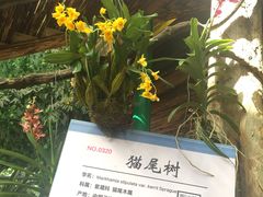-北京呀路古热带植物园
