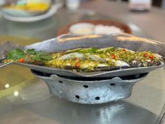 -芭厘农庄老字号·清远鸡