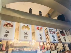 -猫咪博物馆(顶澳仔猫街店)