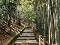 -敬亭山风景名胜区