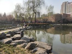 -木塔寺遗址生态公园
