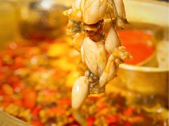 -哥老官重庆美蛙鱼头(松江地中海十八哥店)