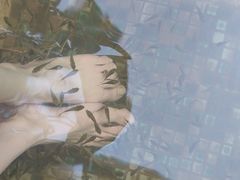 -长白山聚龙火山温泉