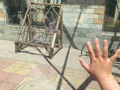 -石家庄市动物园