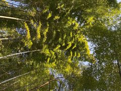 -天目湖御水温泉·度假酒店